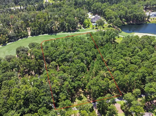 388 Belted Kingfisher Ln, Richmond Hill, GA 31324