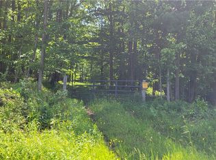 0 Nunda Byersville Rd #48, Dansville, NY 14437