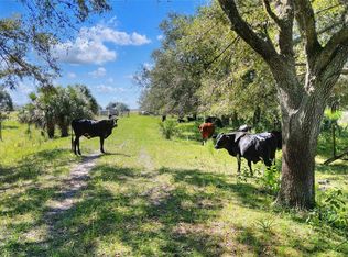 46891 Farabee Rd, Punta Gorda, FL 33982