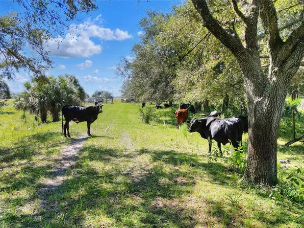 46891 Farabee Rd, Punta Gorda, FL 33982