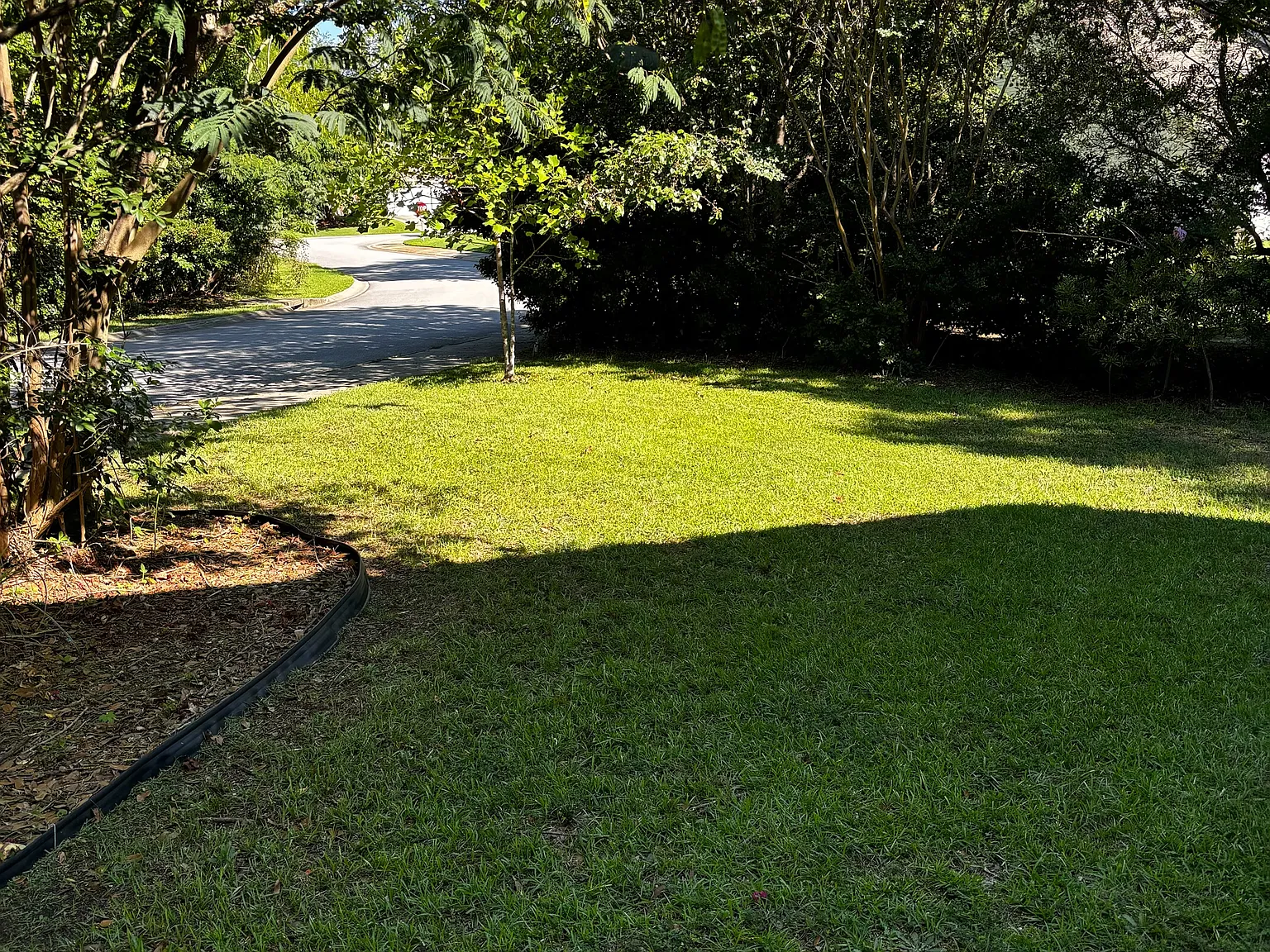 Gibson Forest Dr, Lexington — Photo 3