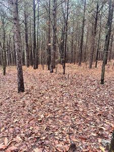 1235 Sugarberry Trl, Broken Bow, OK, 74728