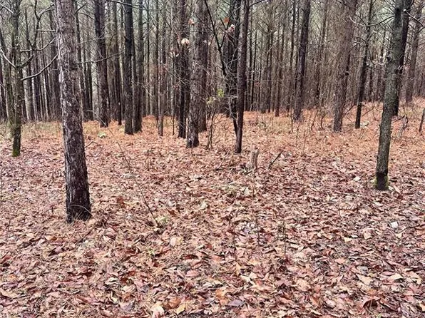 1235 Sugarberry Trl, Broken Bow, OK 74728