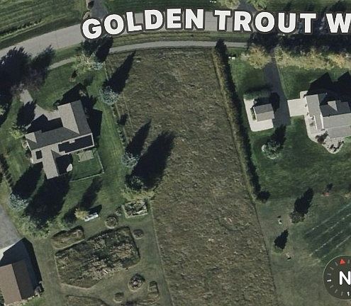 5th image of Golden Trout Way