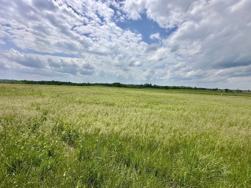 Real estate listing image