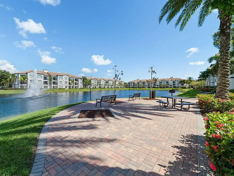 Pond views