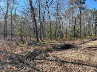 228 Water Tank Rd, Pelion, SC 29123