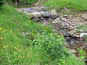 Year 'round Stream