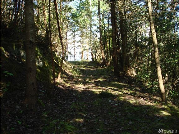 4th image of 7 Eagles Nest Dr