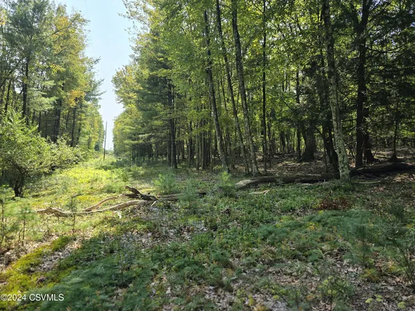 Beech Glenn Rd, Millville, PA 17846