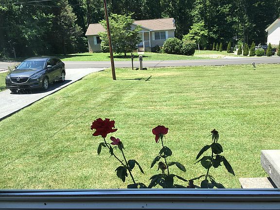 Front Yard
