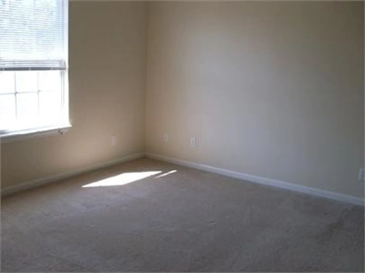 Beautiful 2 Bedroom 2 Bathroom Duplex! — Photo 4