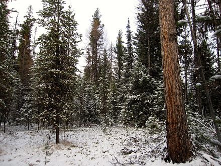 2nd image of 890 Trail Creek Road