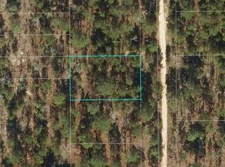 219 Connecticut Dr #15, Hawthorne, FL 32640