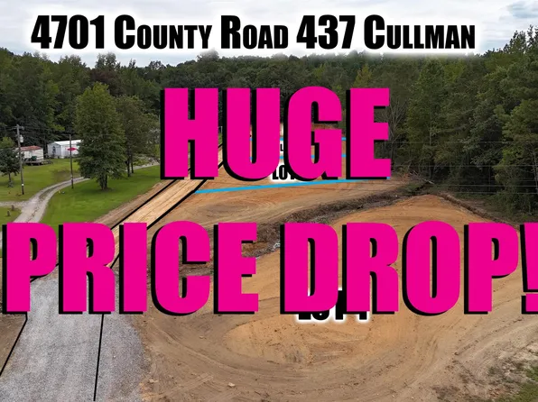 4701 County Road 437 Lot 1-4, Cullman, AL 35057