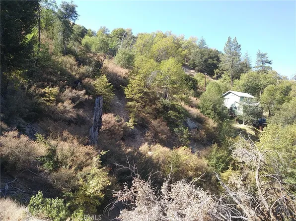 30044 Lignum Vitae Dr #31, Cedar Glen, CA 92321