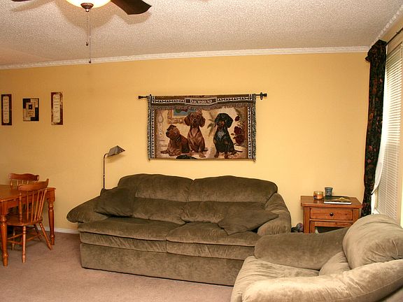 5th image of 9858 Brockbank Dr #9858