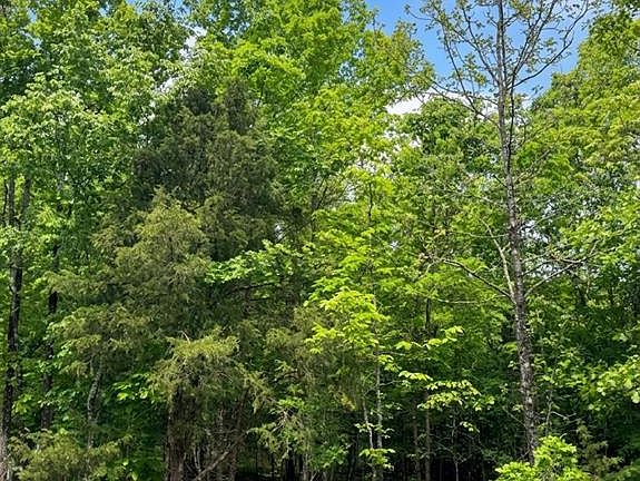 4th image of 5 Ridge Rd Lot 5