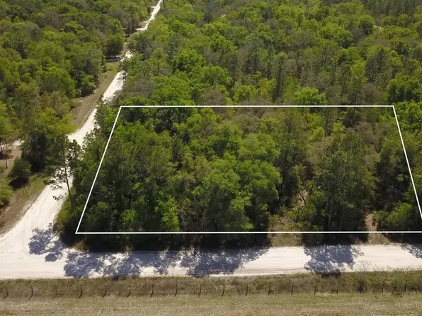 0 NW 11th Ave, Bell, FL 32619