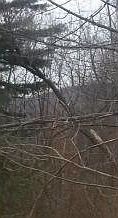 2nd image of 60 Felters Rd