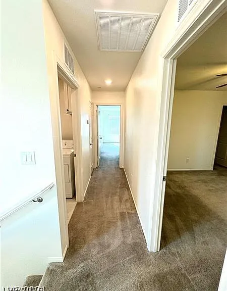 1003 Brilliant Meadow Ave — Photo 22