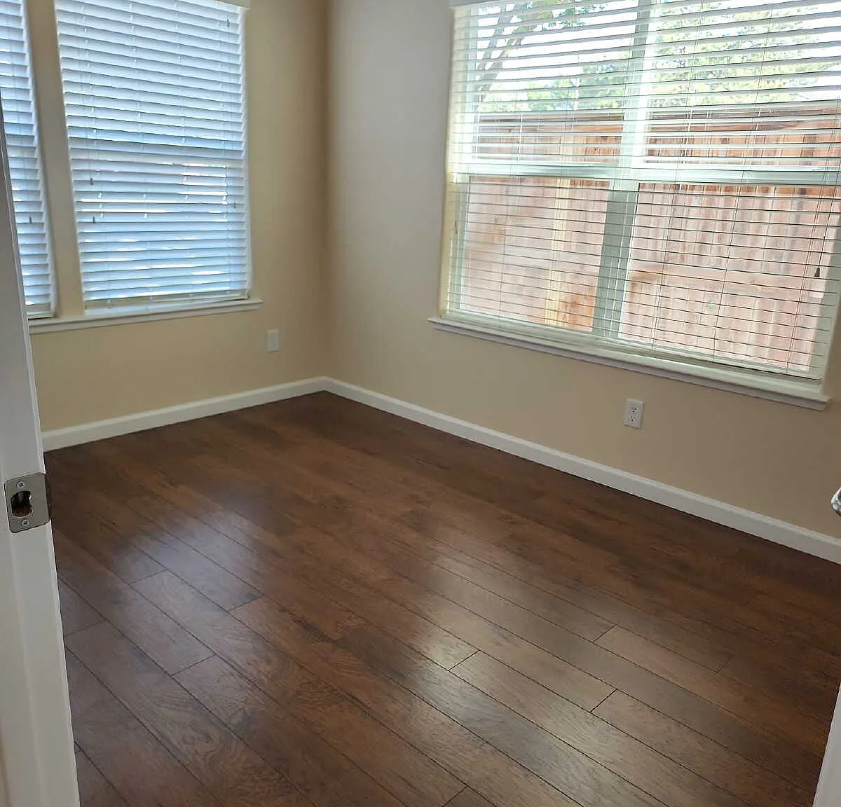 1 bed, $800 — Photo 2