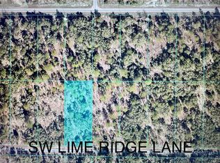 SW Limeridge Ln, Dunnellon, FL 34431