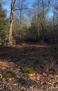 61 Cayuga Dr #110, Jim Thorpe, PA, 18229