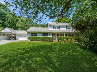 9 Richter St, Randolph, NJ 07869