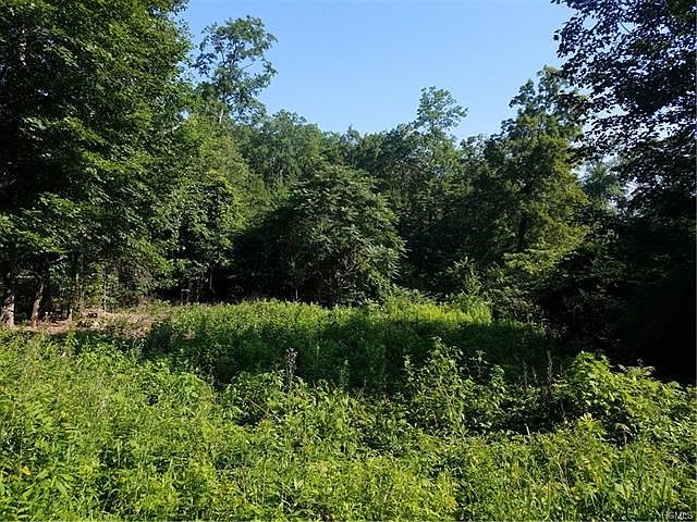 2nd image of Hickory Ln