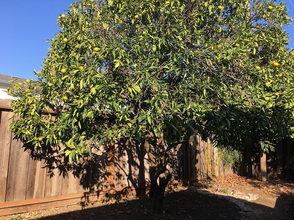 2nd image of 5889 W Walbrook Dr