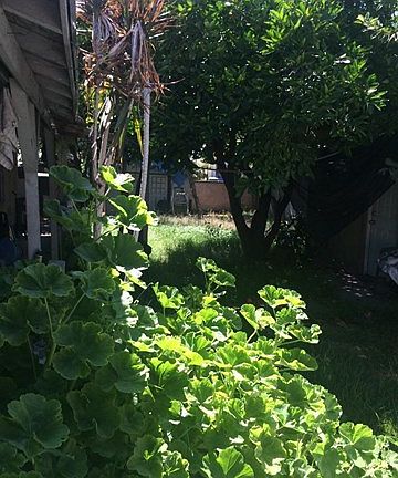3rd image of 3625 Brookline Ave
