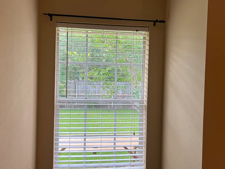 view of backyard