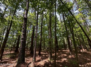 4 County Road 444, Philadelphia, MS 39350