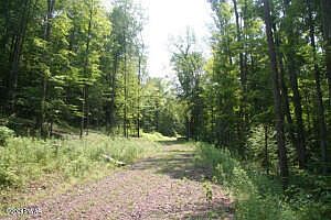 2nd image of Boyds Mills Rd