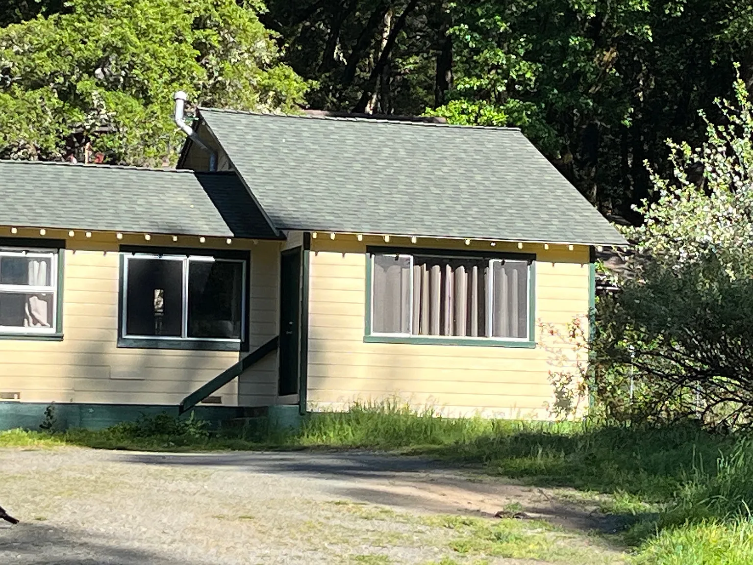 1 bed, 600 sqft, $1,000 — Photo 1