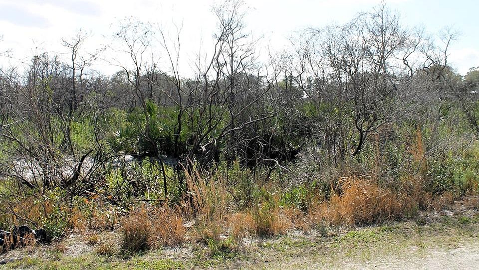 1st image of Hammermill Ave