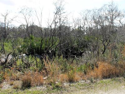 Hammermill Ave, Lake wales, FL, 33859