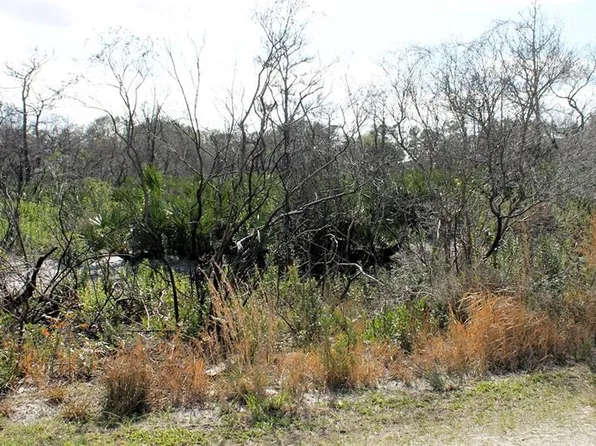 Hammermill Ave, Lake Wales, FL 33859