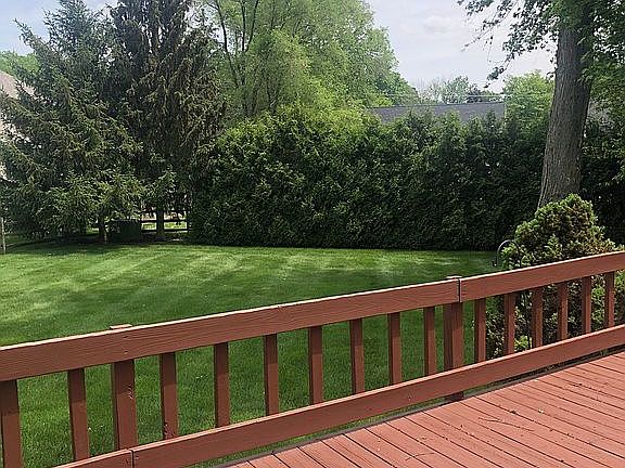 Partial view of backyard