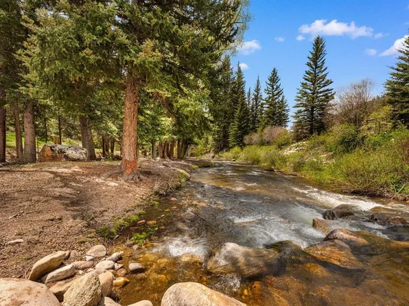 340 County Road 54, Almont, CO 81210