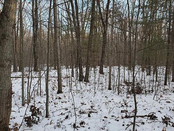 3rd image of 13 Acres Sand Road