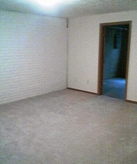 3411 Bohmer Dr — Photo 4