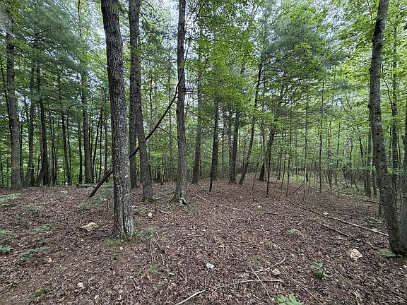 3rd image of 0 Deer Creek Run