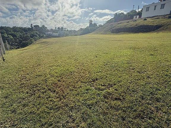 4th image of Colinas De Palmarito