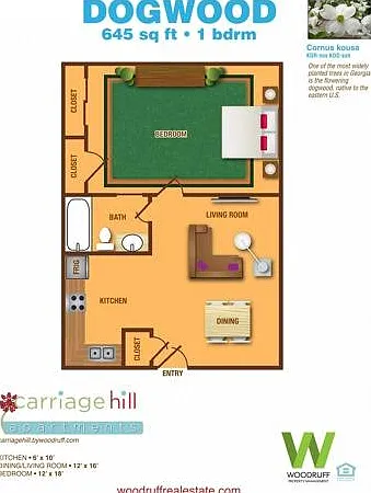 Dogwood 1x1 645sqft Dogwood 1x1 645sqft