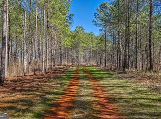 Old Zebulon Rd, Forsyth, GA 31029