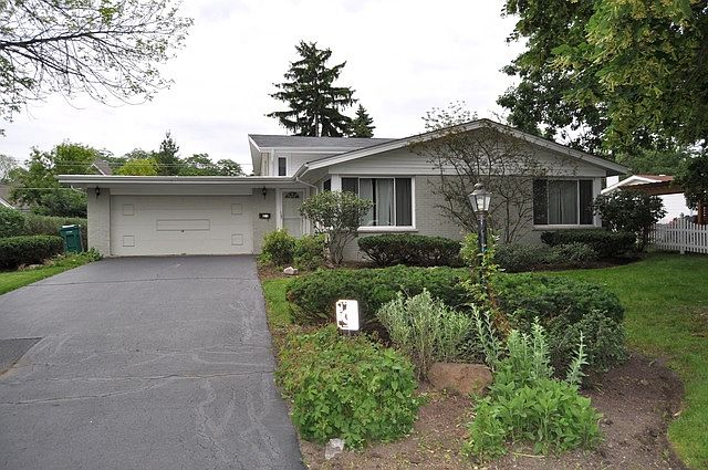 1st image of 1151 Blackthorn Ln