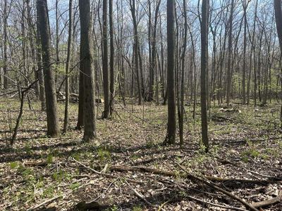 Halfmoon Lake Rd, Hillsdale, MI, 49242