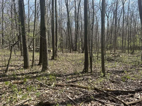 Halfmoon Lake Rd, Hillsdale, MI 49242